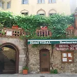 Vidal 3*