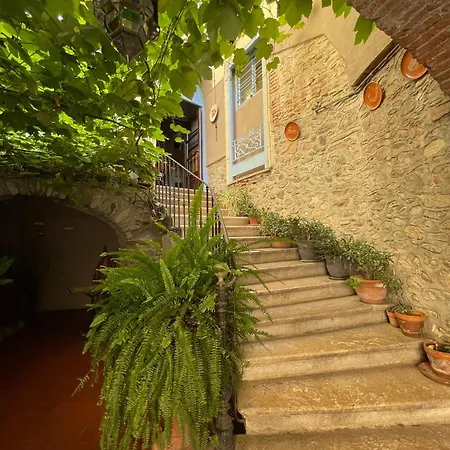 Vidal 3* Céret