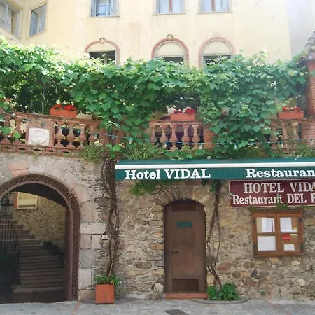 Vidal 3*