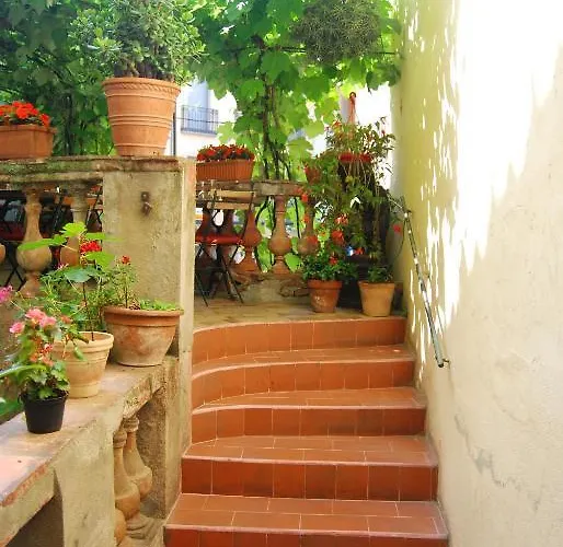 Vidal Hotel