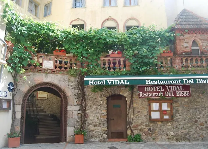 Vidal 3*