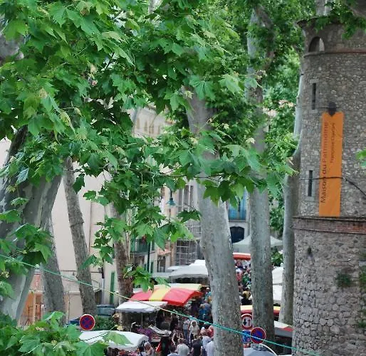 Vidal Céret