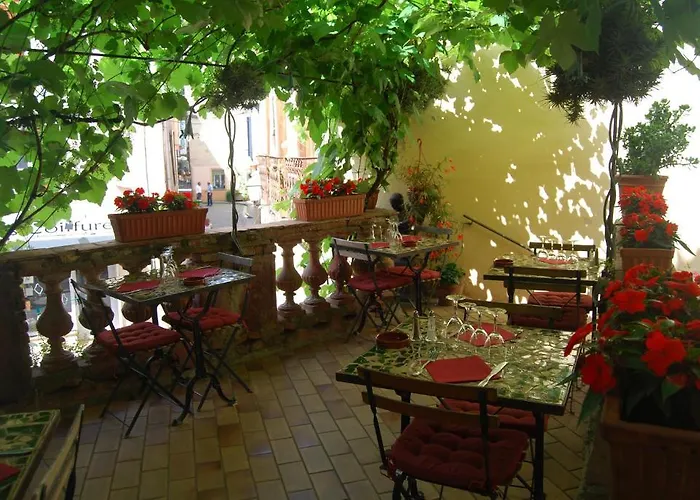 Hotel Vidal